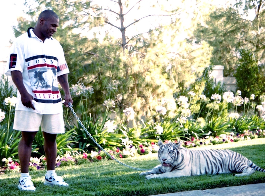 Mike Tyson, Tiger, Unusual Celebrity Pets